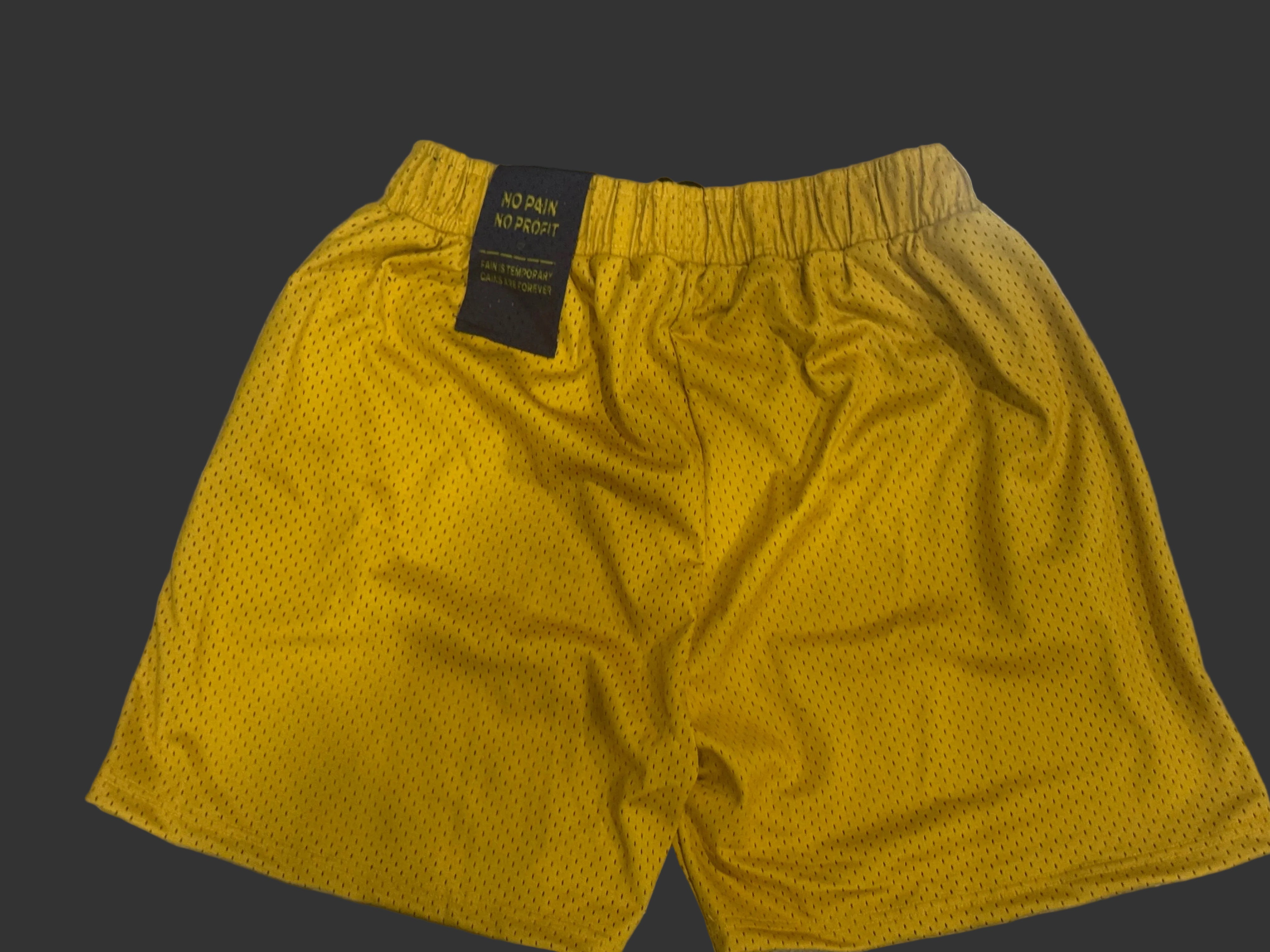 "Easy Money" Mesh Shorts (Unisex)